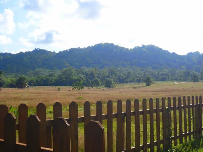 savannah sadengan banyuwangi