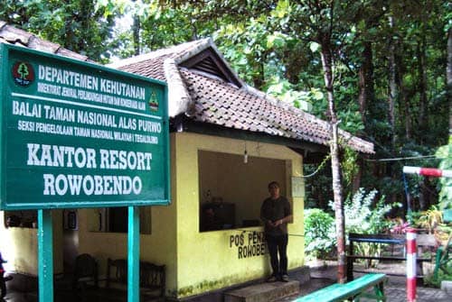 savannah sadengan banyuwangi