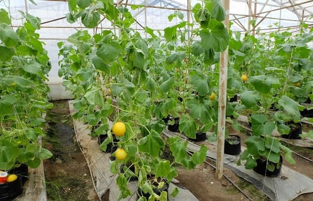 agrowisata bhakti alam