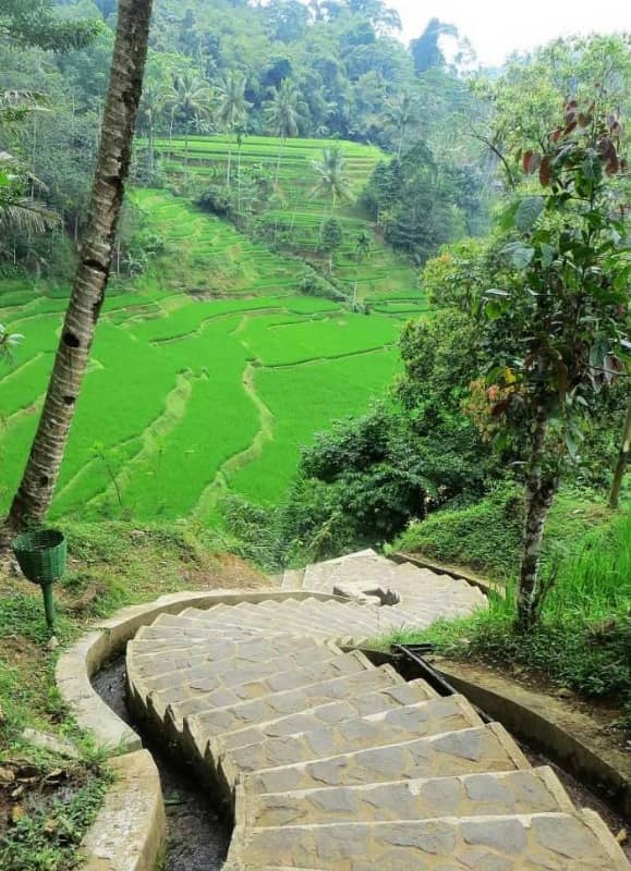 kampung naga