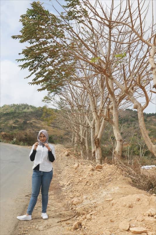 destinasi wisata lombok
