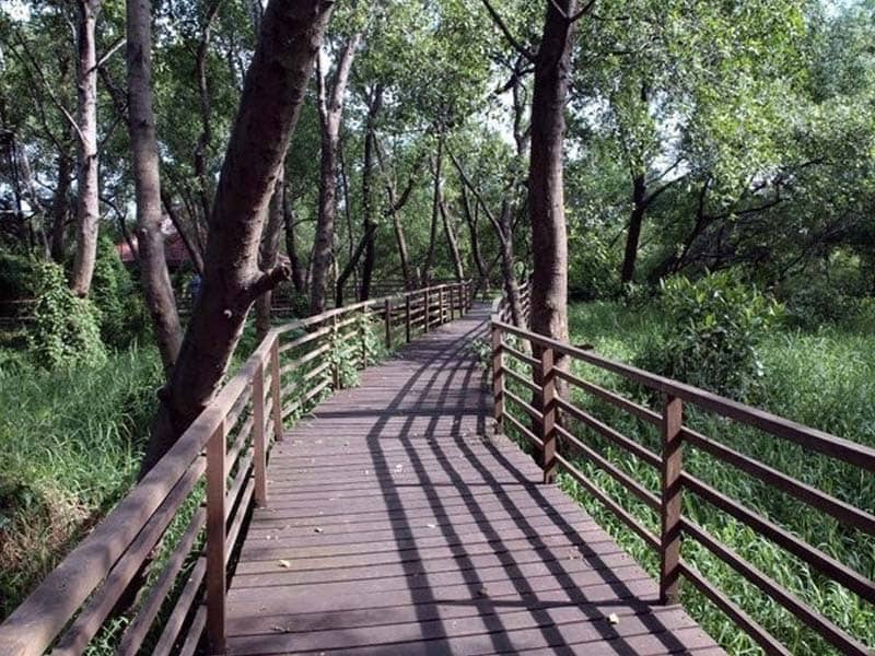 taman mangrove PIK
