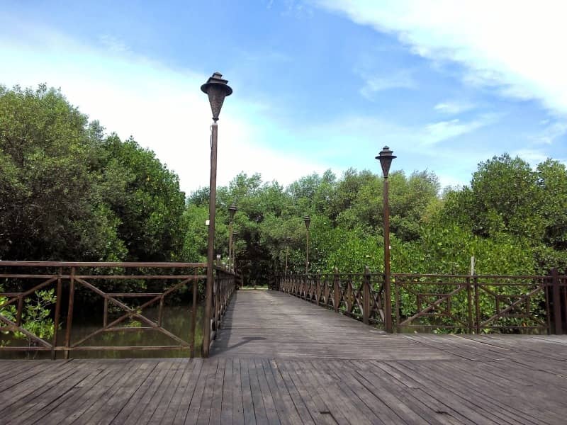taman mangrove PIK