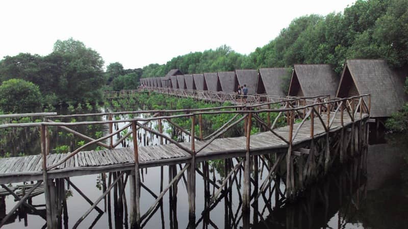 taman mangrove PIK