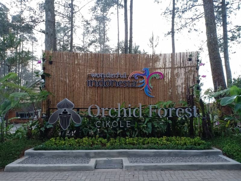 orchid forest cikole