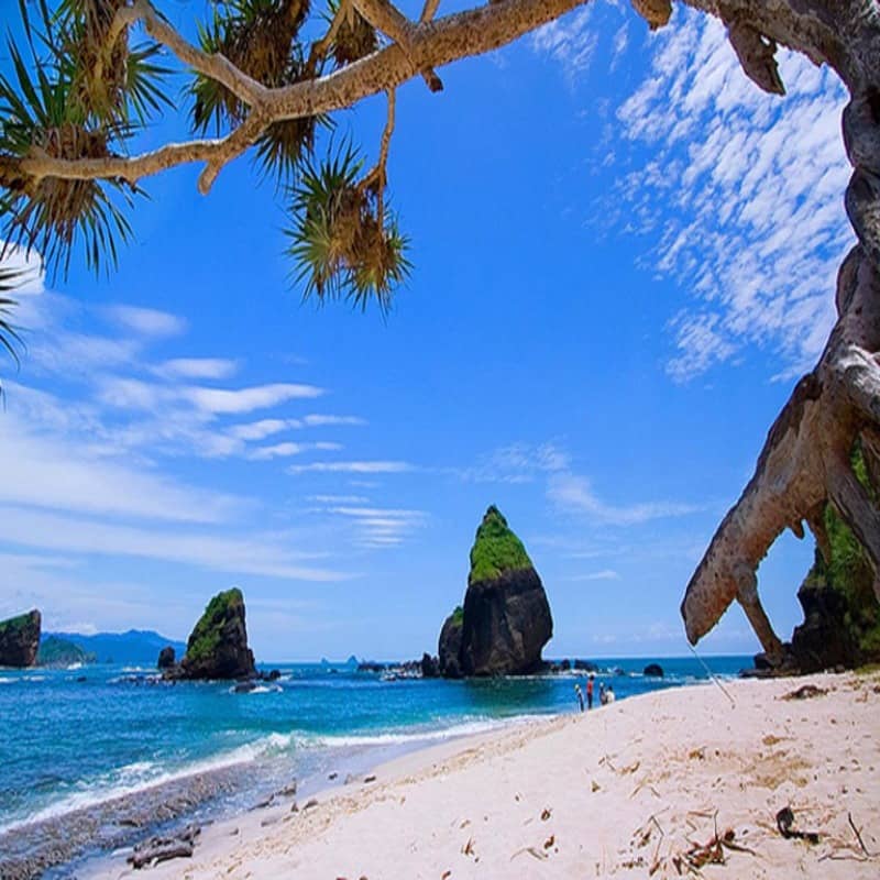 pantai papuma