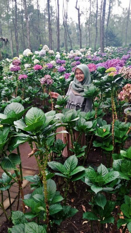 taman bunga coban talun